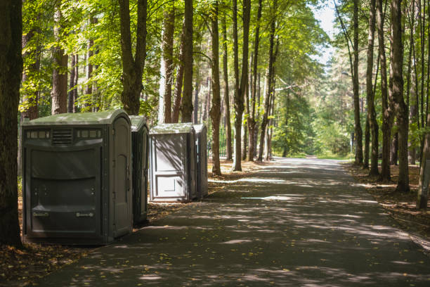 Best Affordable portable toilet rental  in Crystal Lawns, IL